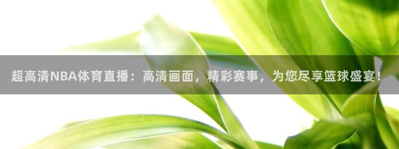 超高清NBA体育直播：高清画面，精彩赛事，为您尽享篮球盛宴！