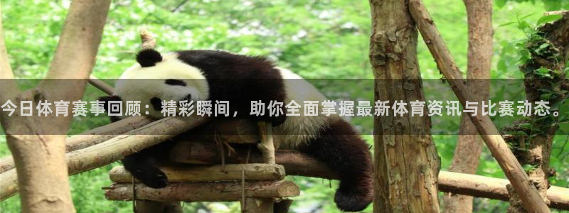 今日体育赛事回顾：精彩瞬间，助你全面掌握最新体育资讯与比赛动态。