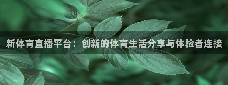 新体育直播平台：创新的体育生活分享与体验者连接